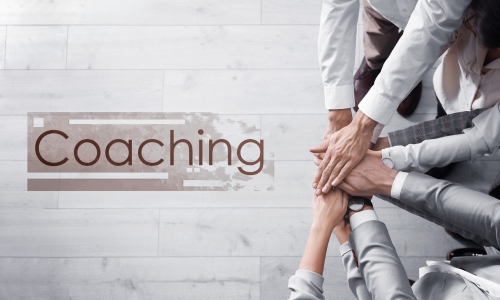 business coaching with inxcellenzia consulting
